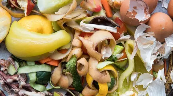 خریدار ضایعات کشاورزی